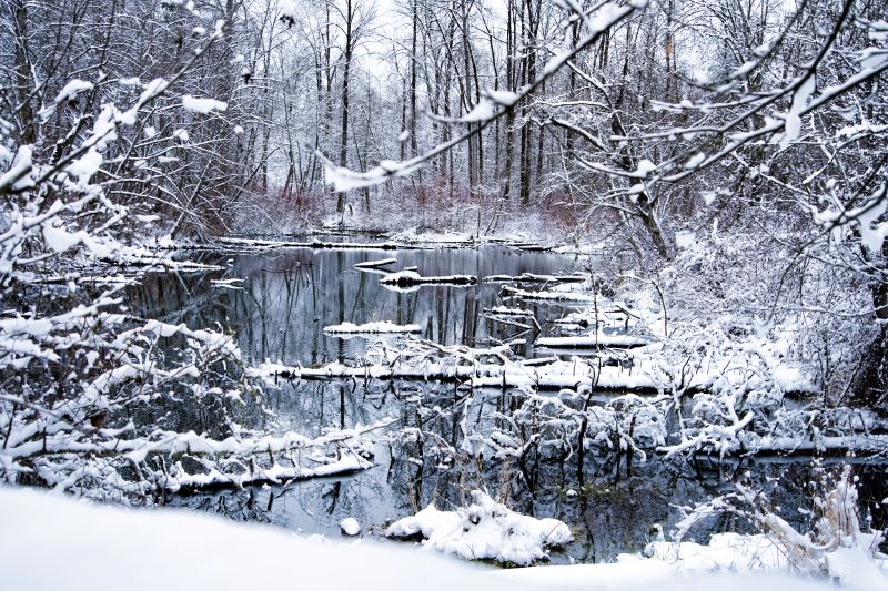 Marilyn JeffriesFrozen Things-February 1-14, 2025Quiet and Still