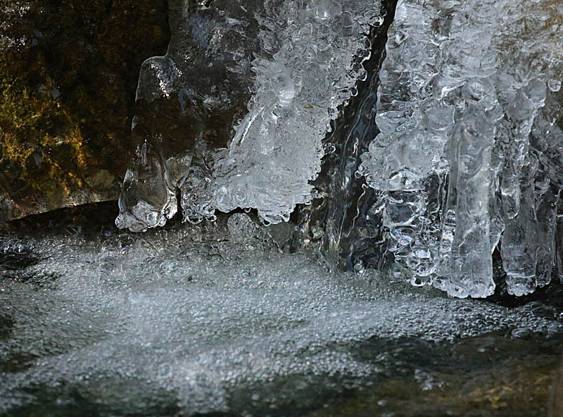 Willie HarvieFebruary 2025Bubbles & Ice