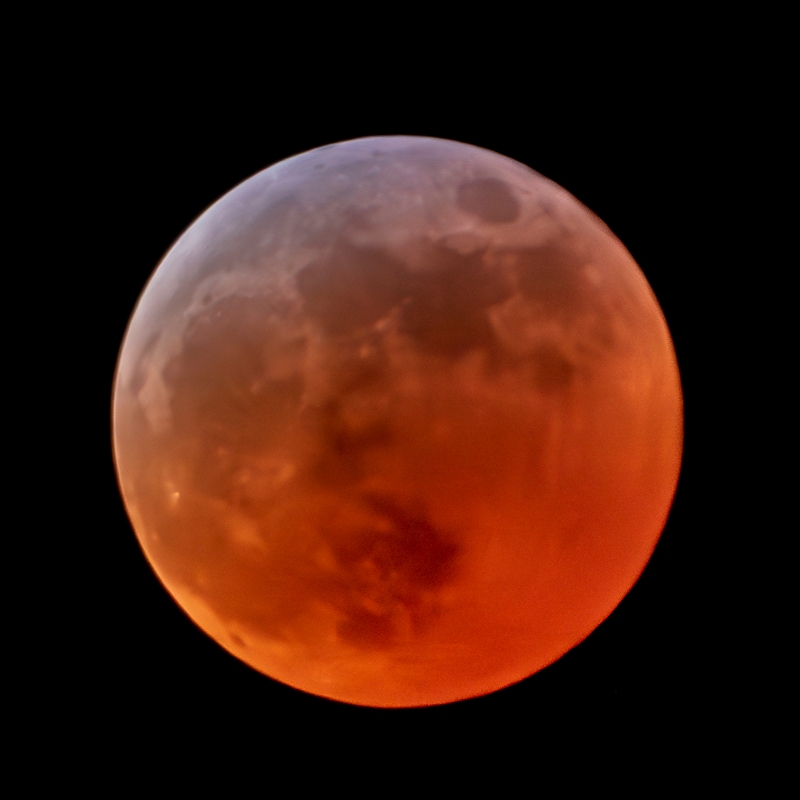 Randy BlakeMarch 2025Lunar Eclipse
