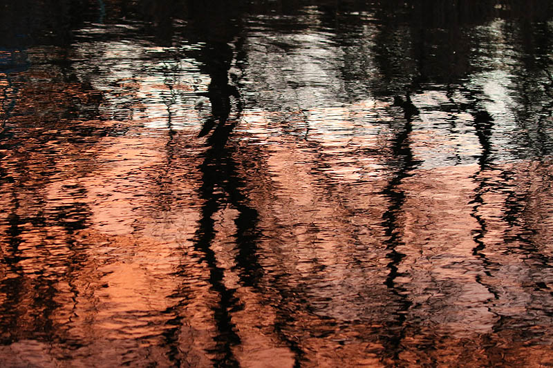 Willie HarvieMarch 2025Water On Fire