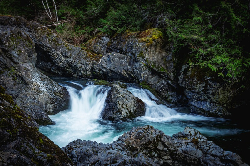 Randy BlakeTheme Water - April 1-15, 2025Spring Surge