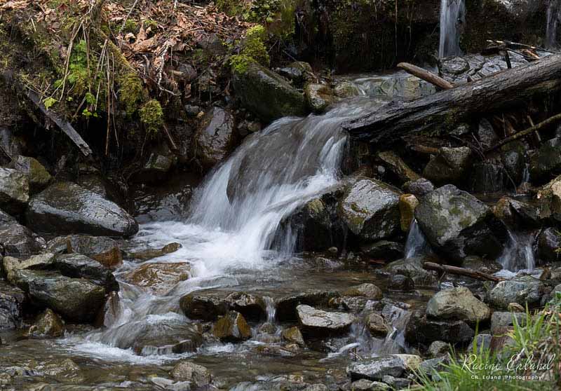 Racine ErlandTheme Water - April 1-15, 2025Mountain Stream