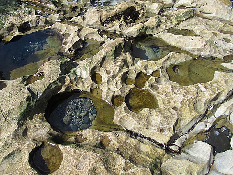 Willie HarvieApril 2025Tiny Pools