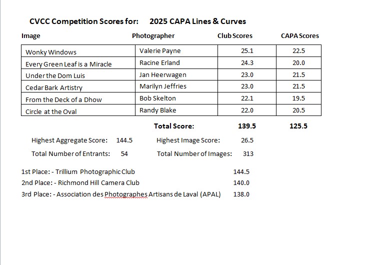 * CAPA 2025 Curves and Lines