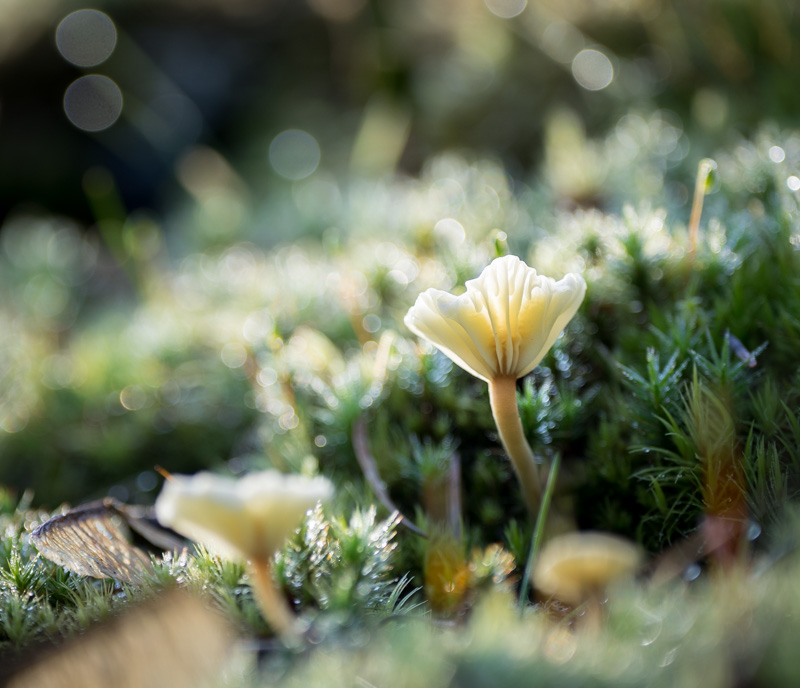 Photos of the Month - April 2025