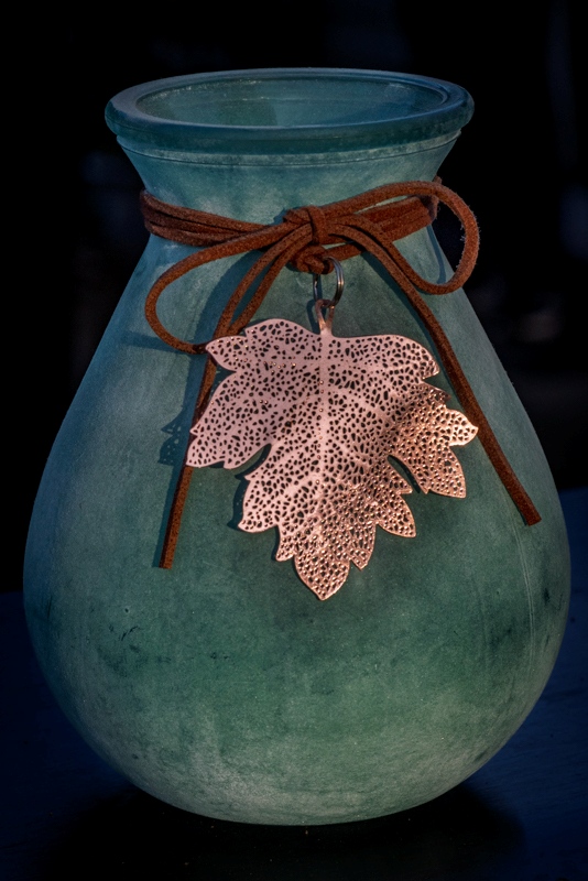 Photos of the Month - April 2025