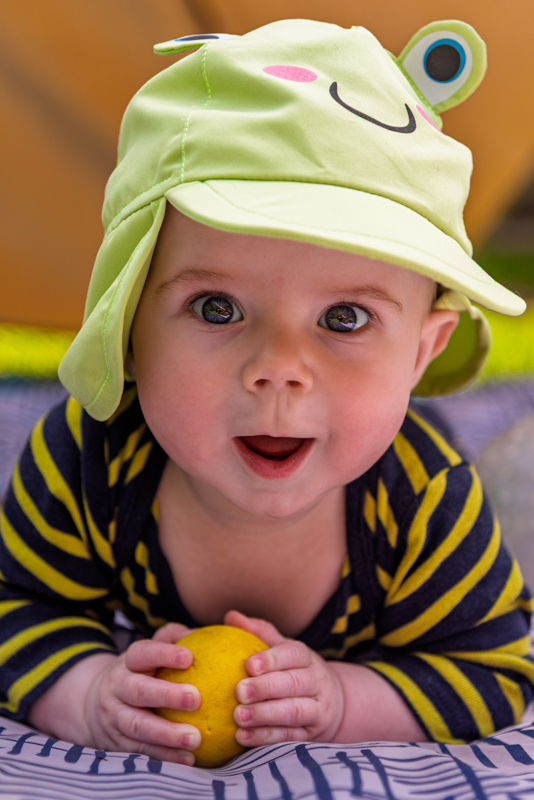 Photos of the Month - April 2025
