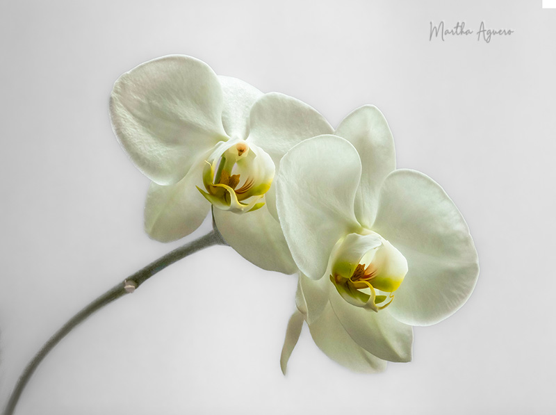 Photos of the Month - May 2025