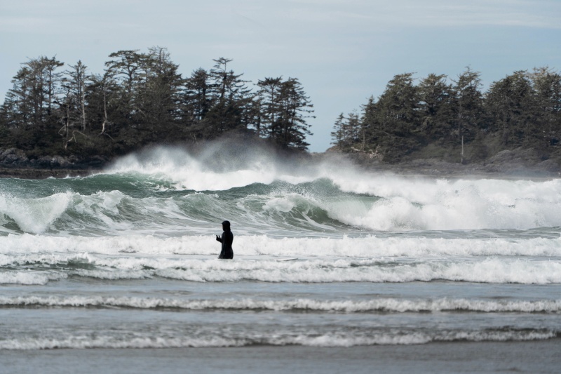 Photos of the Month - April 2025