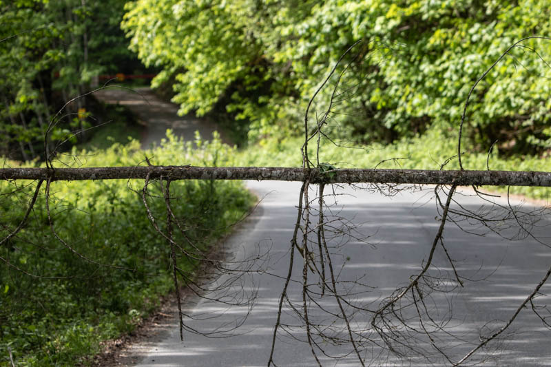 Carl ErlandMay 2025Nature's Road Block