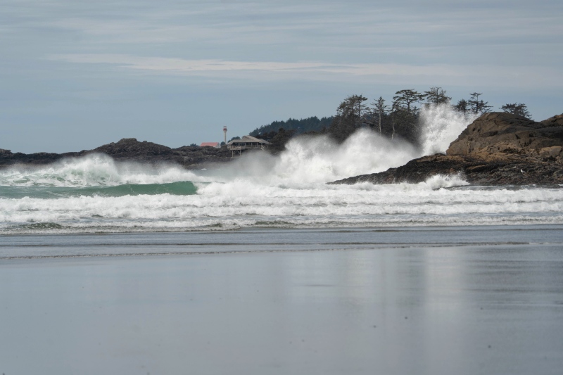 Marilyn JeffriesTheme Water - April 1-15, 2025Surf's Up