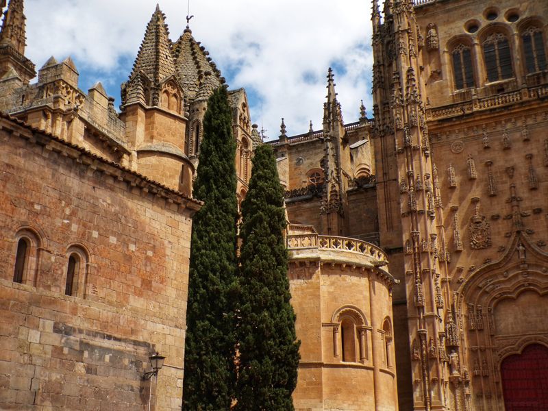 Leo MosleyMay 2025Salamanca Spain
