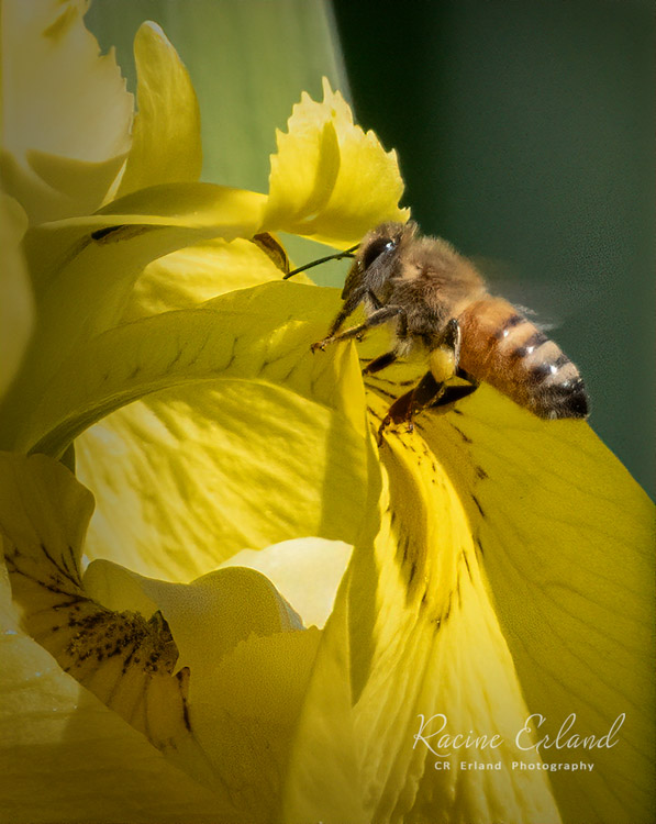 Photos of the Month - May 2025
