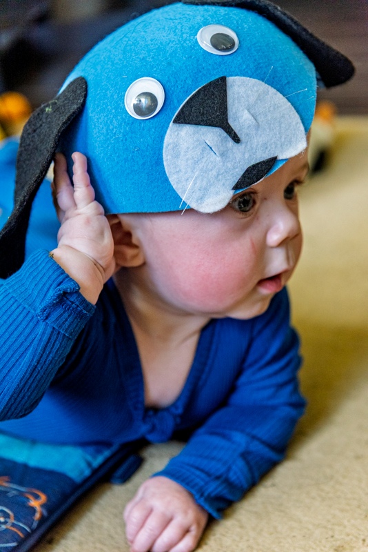 Photos of the Month - May 2025