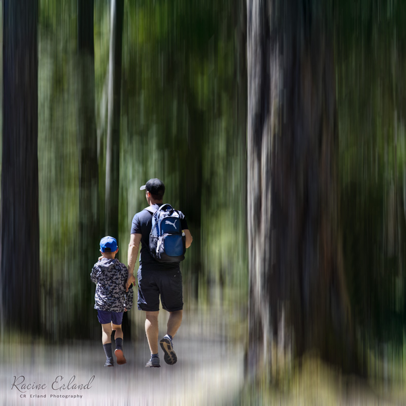 Racine ErlandMay 2025A Walk in the Forest