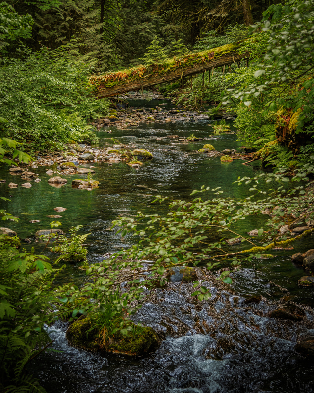 Photos of the Month - May 2025