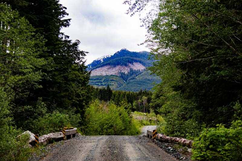 Photos of the Month - May 2025