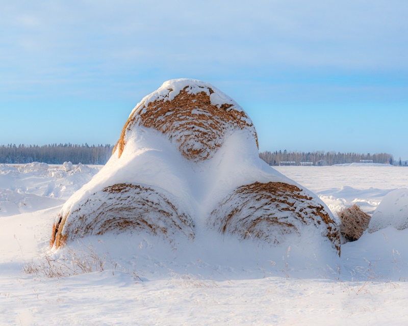 Jan Heerwagen2025 June London Drugs Canvas Print Theme:  Canadian IdentitySnowy Hay Bales