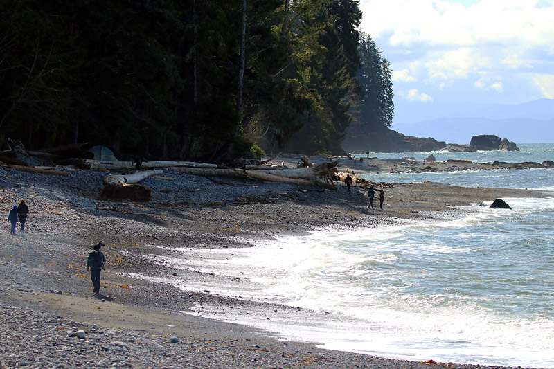 Willie HarvieJune 2025London Drugs Canvas PrintTheme: Canadian IdentityOceans & Forests Abound