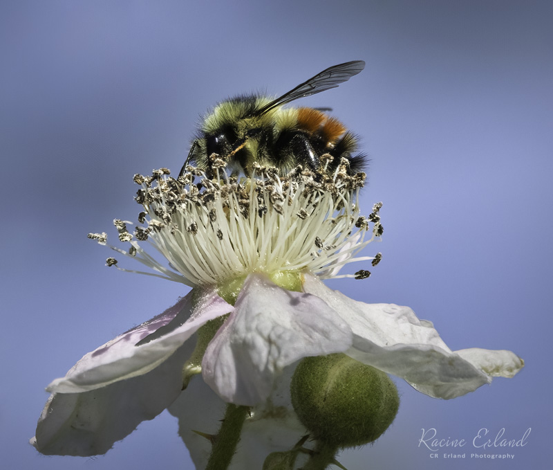 Photos of the Month - June 2025