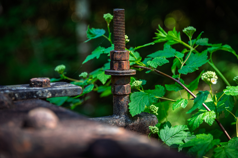 * Field Trip Wabi Sabi - June 1-15, 2025