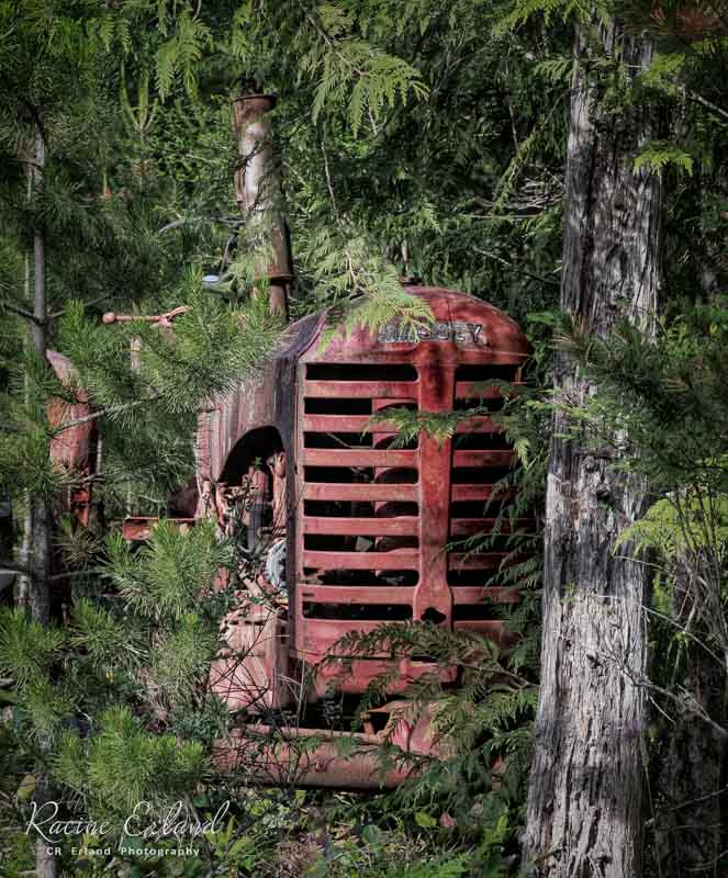 * Field Trip Wabi Sabi - June 1-15, 2025