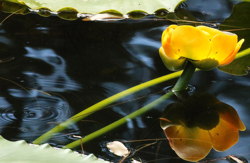 Photos of the Month - May 2025