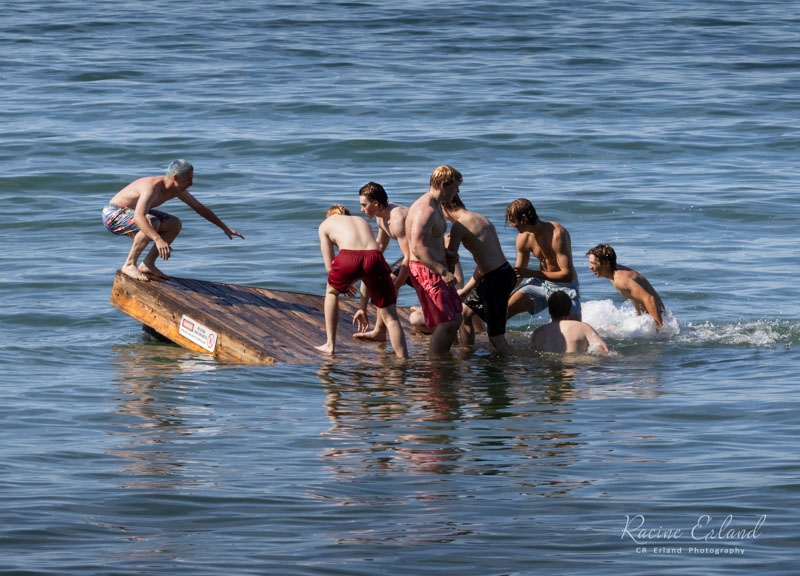 * Photos of the Month: Multiple Galleries