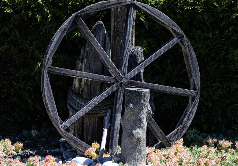 Carl ErlandWabi SabiField Trip - June 1-15, 2025Wheels Over Time