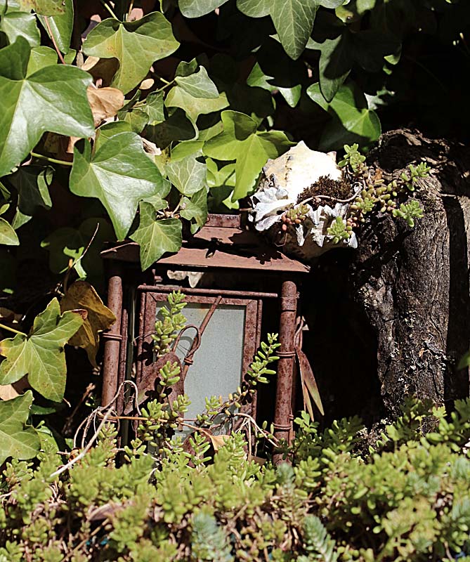 Willie HarvieWabi SabiField trip - June 1 - 15, 2025Hidden Lantern