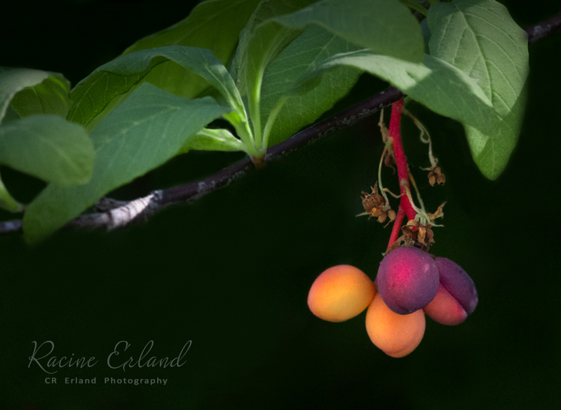 * Photos of the Month: Multiple Galleries