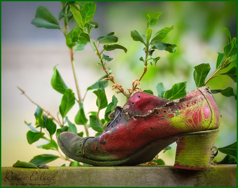 * 2025 Summer Photo Challenge