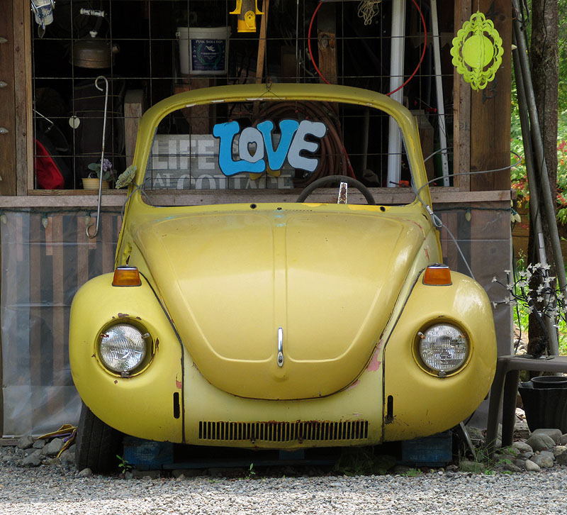 Willie HarvieJune 2025Love Bug