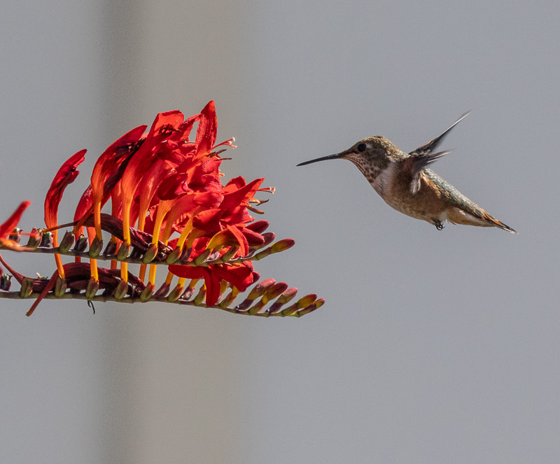 Carl ErlandJuly 2025Nectar Approach