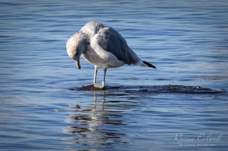 Photos of the Month - September 2025 