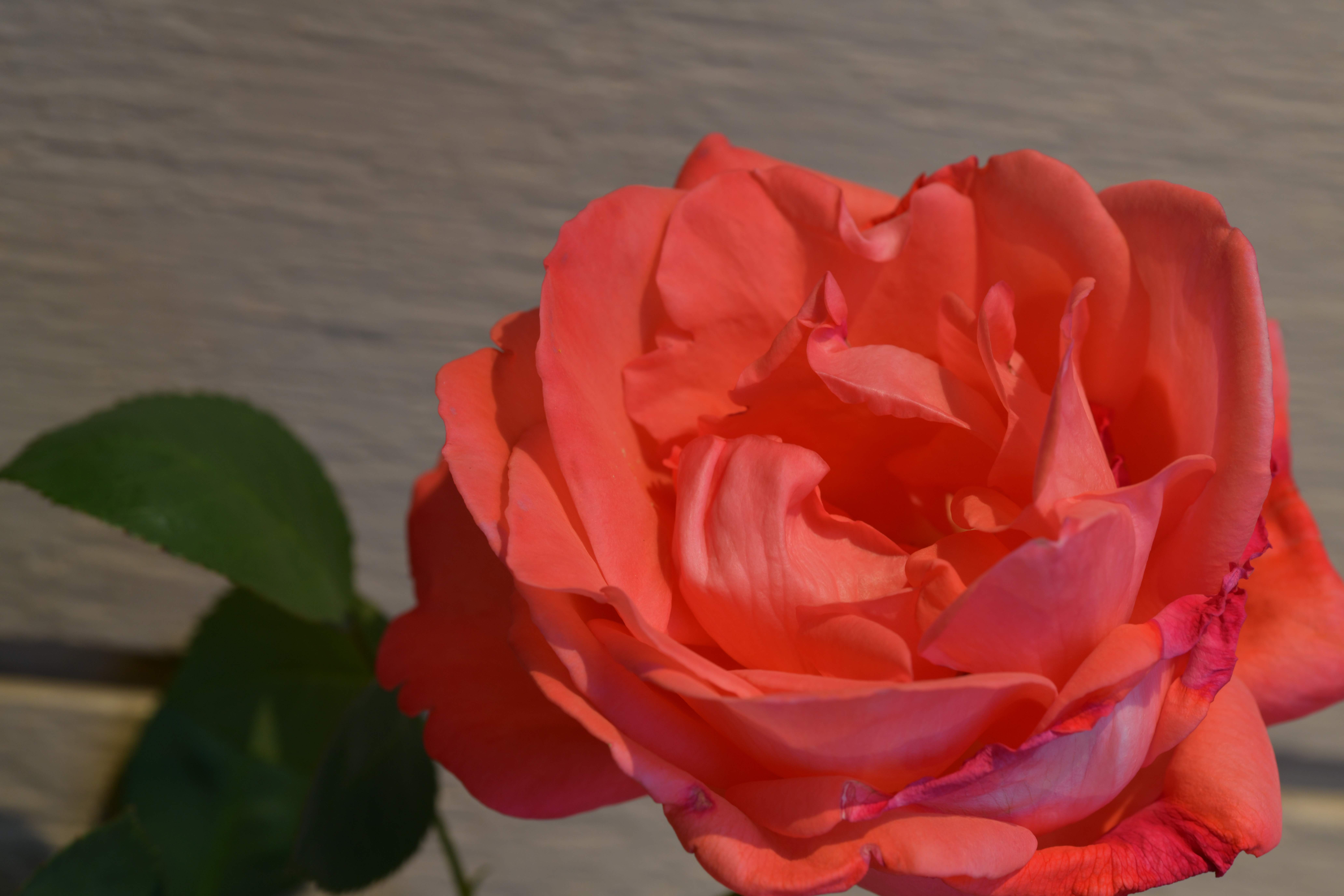 GC2_1734.JPG