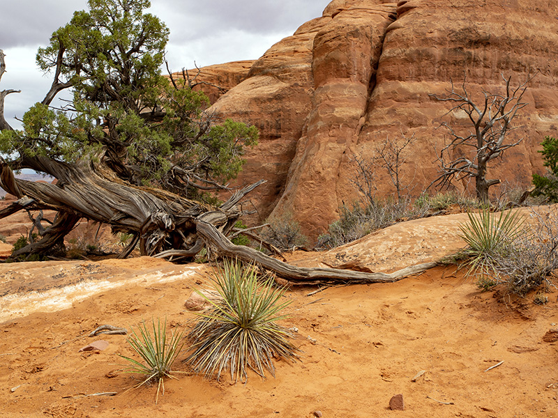 B007619.jpg