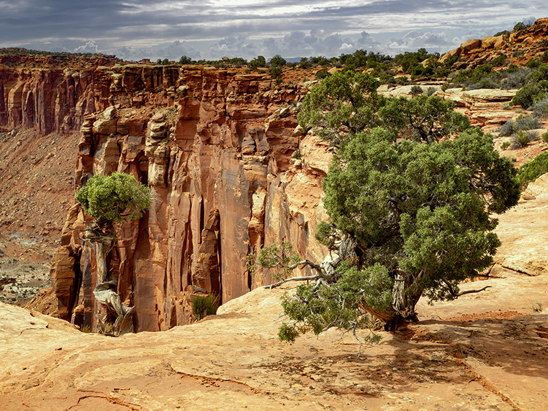 B007790.jpg