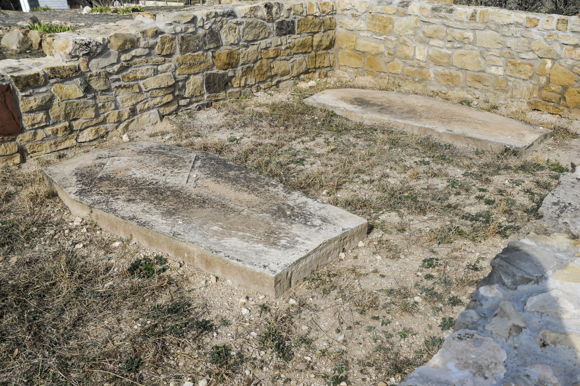 _D704223.jpg