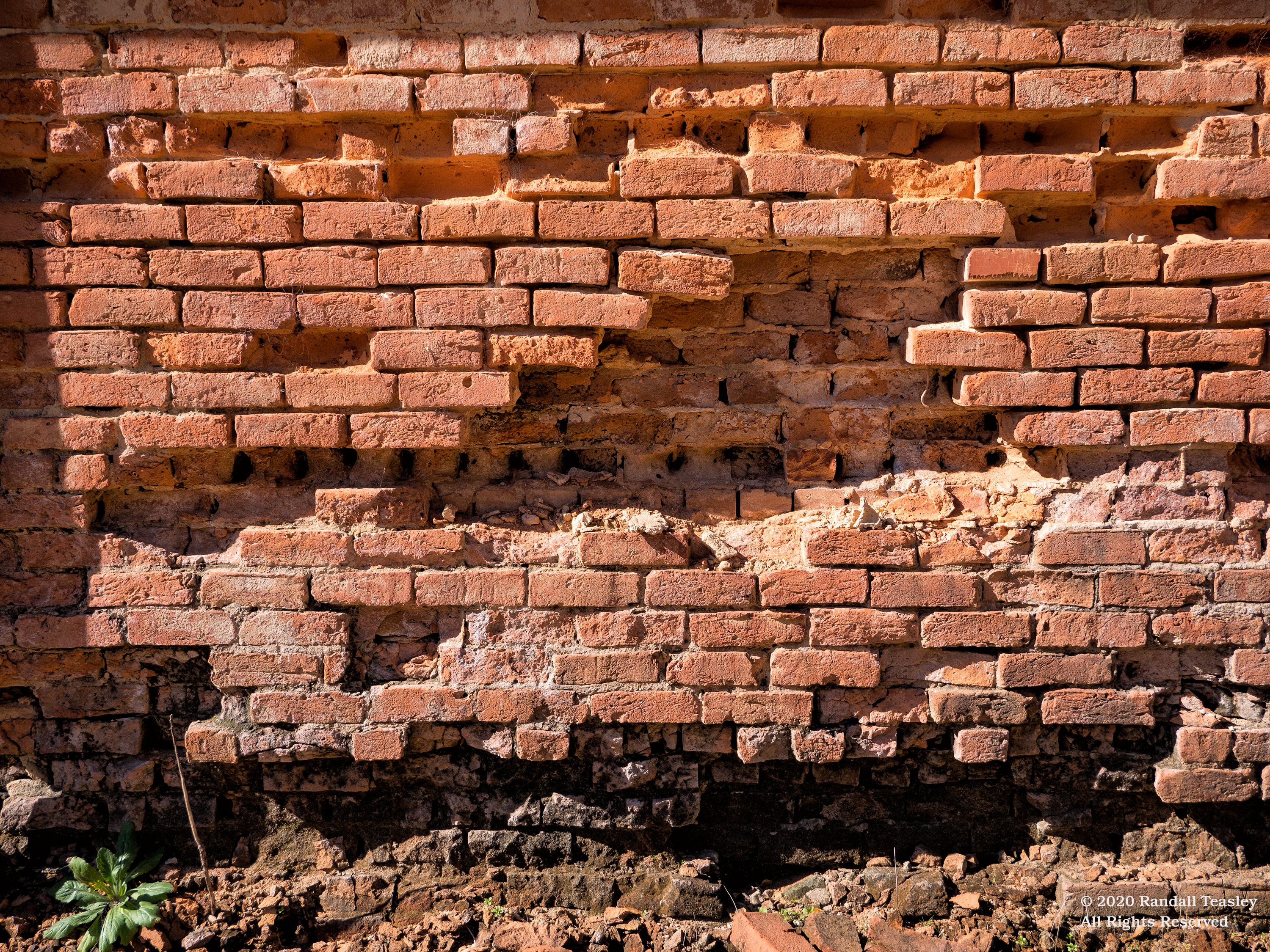 McCool-MS-Brick-wall.jpg