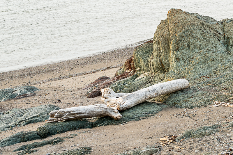 PD_Rmouski_219 (7 of 37).jpg