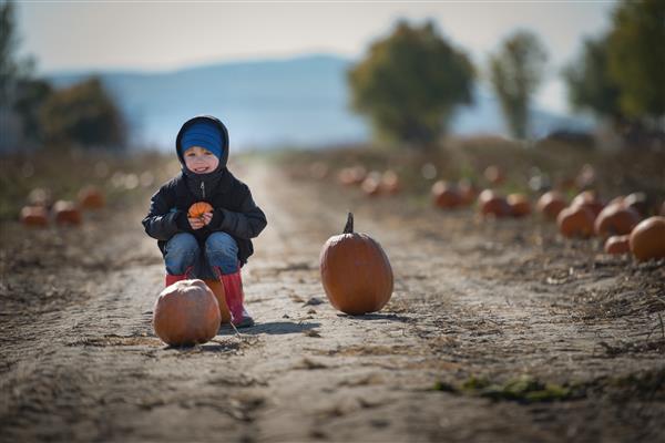 LHalloween arrive