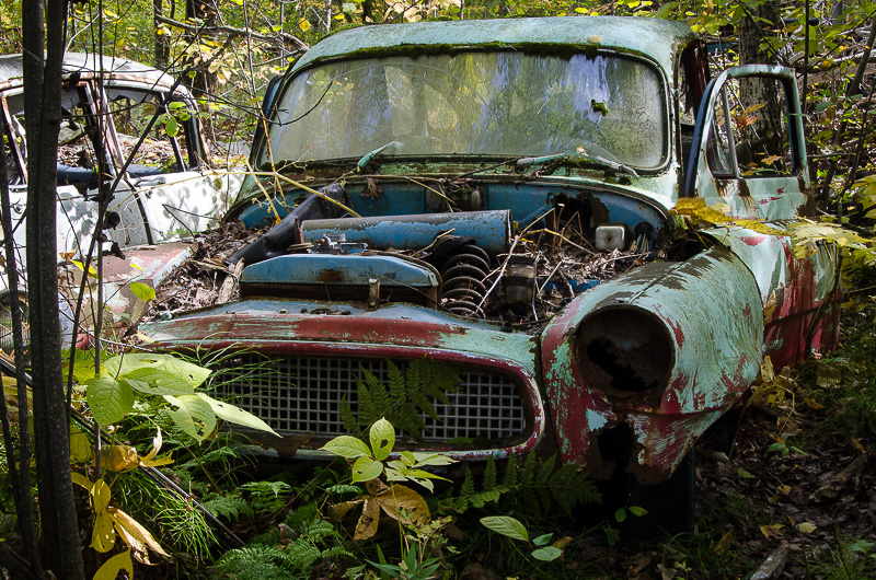 GM_Colmor-10.jpg