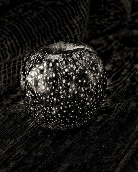 5-PD - les toiles dans la pomme