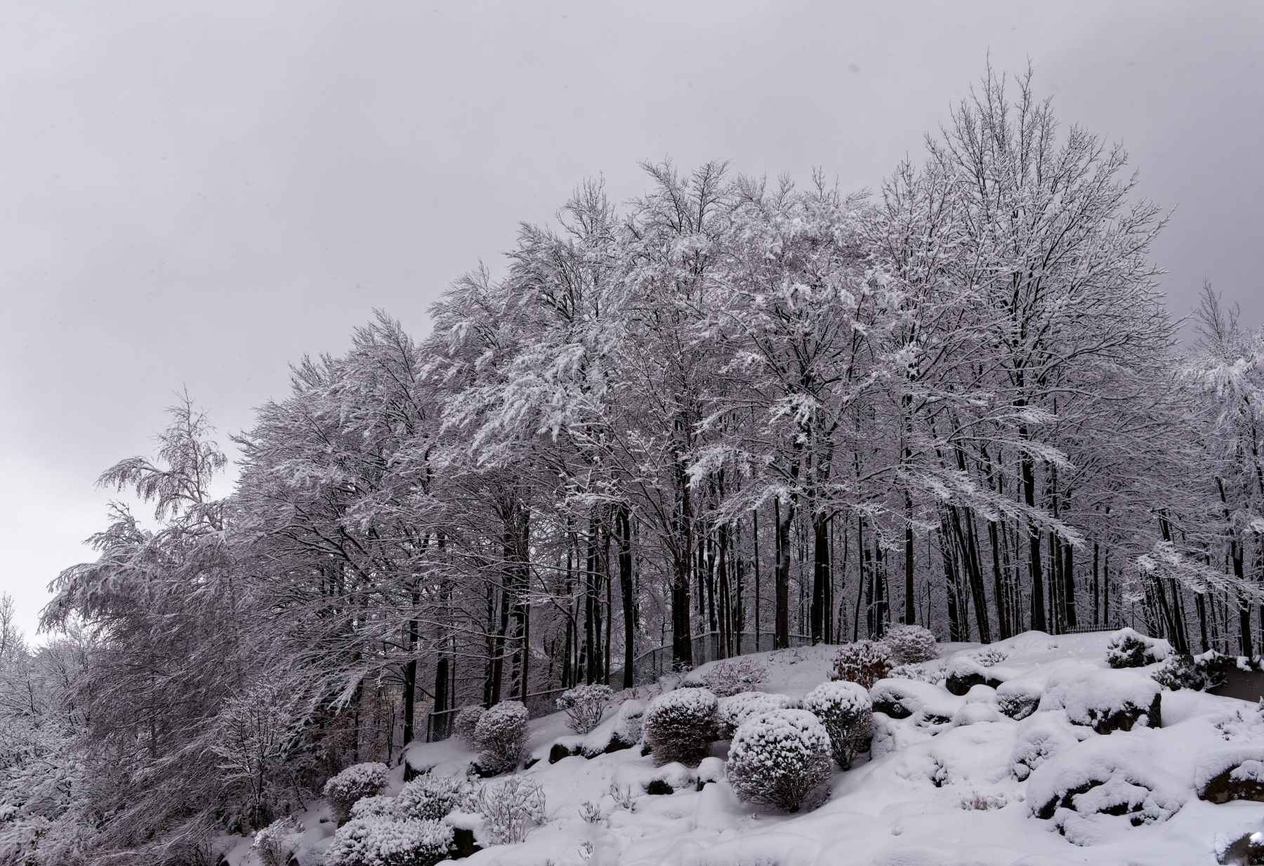 Matin frisquet