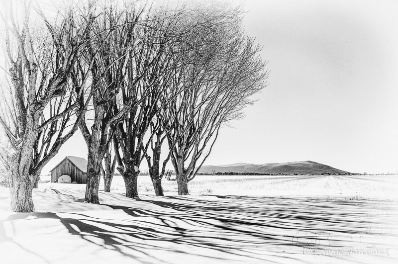 SB_T1A7725_Ombres