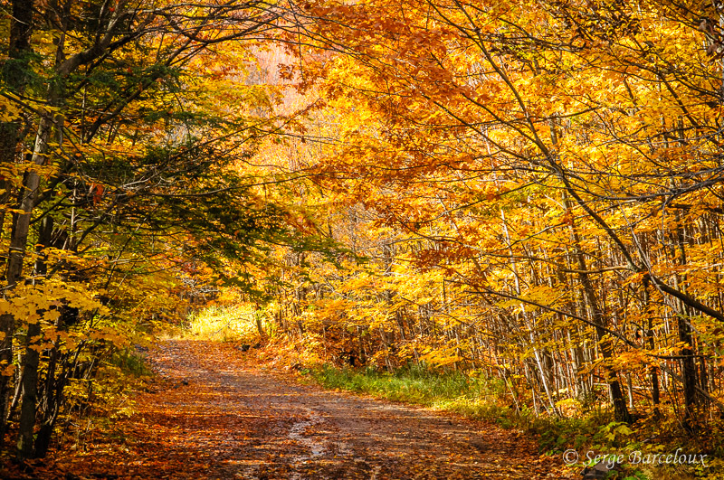 SB - Sentier des couleurs