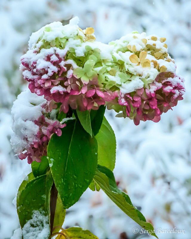 SB_T3D0519