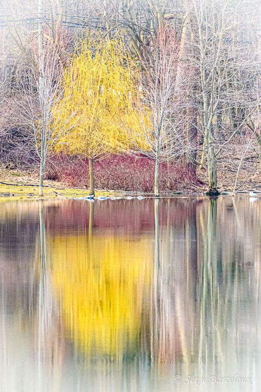 SB_Reflet 1