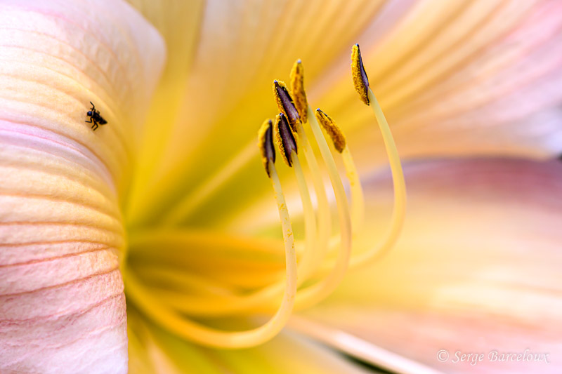 SB_T4C0096